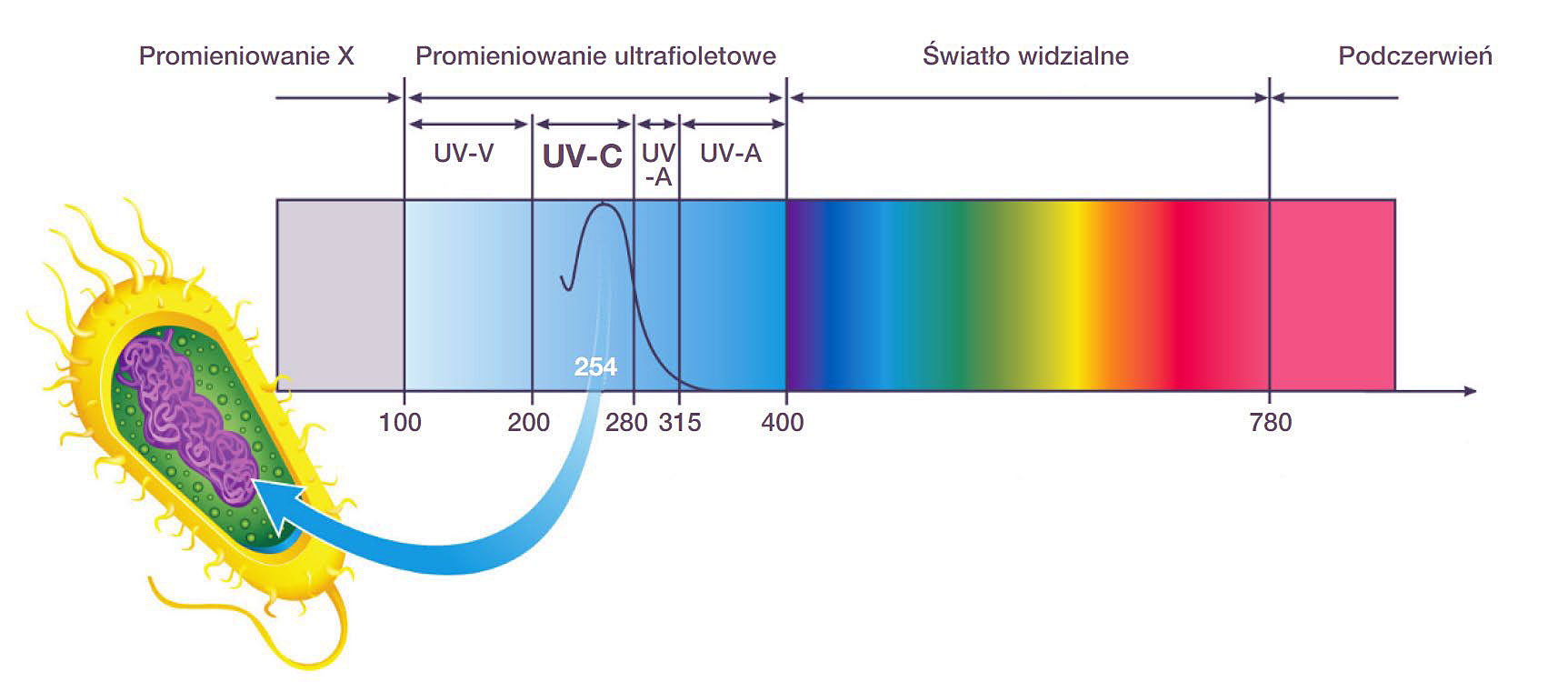 Rys. 1 Zakres promieniowania optycznego [16]