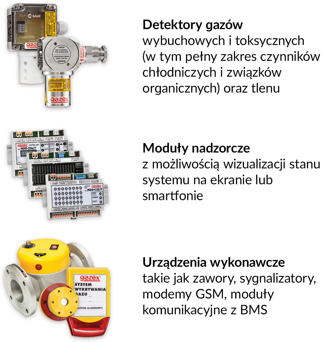 Rys. 1. Grupy urządzeń modularnego systemu detekcji gazów